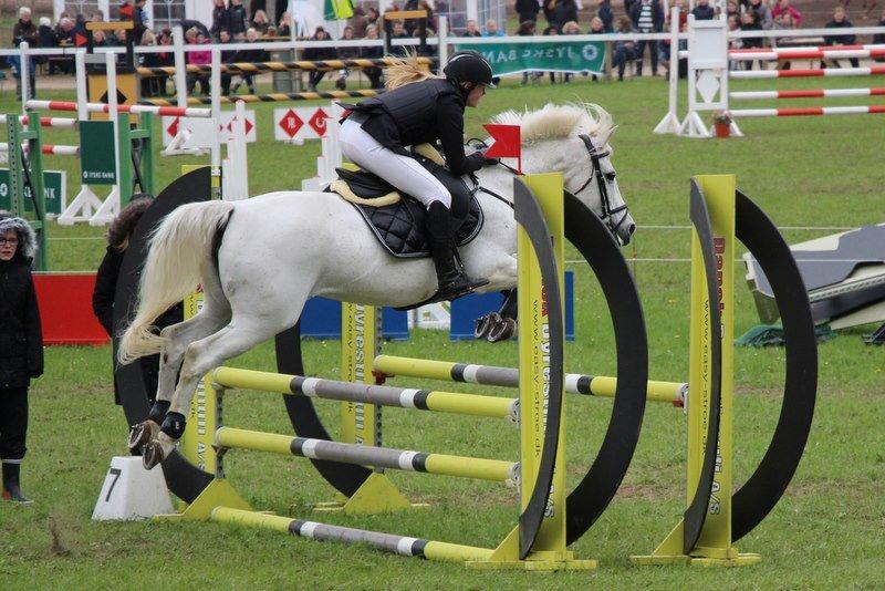 Anden særlig race Wendy * B-pony * billede 12