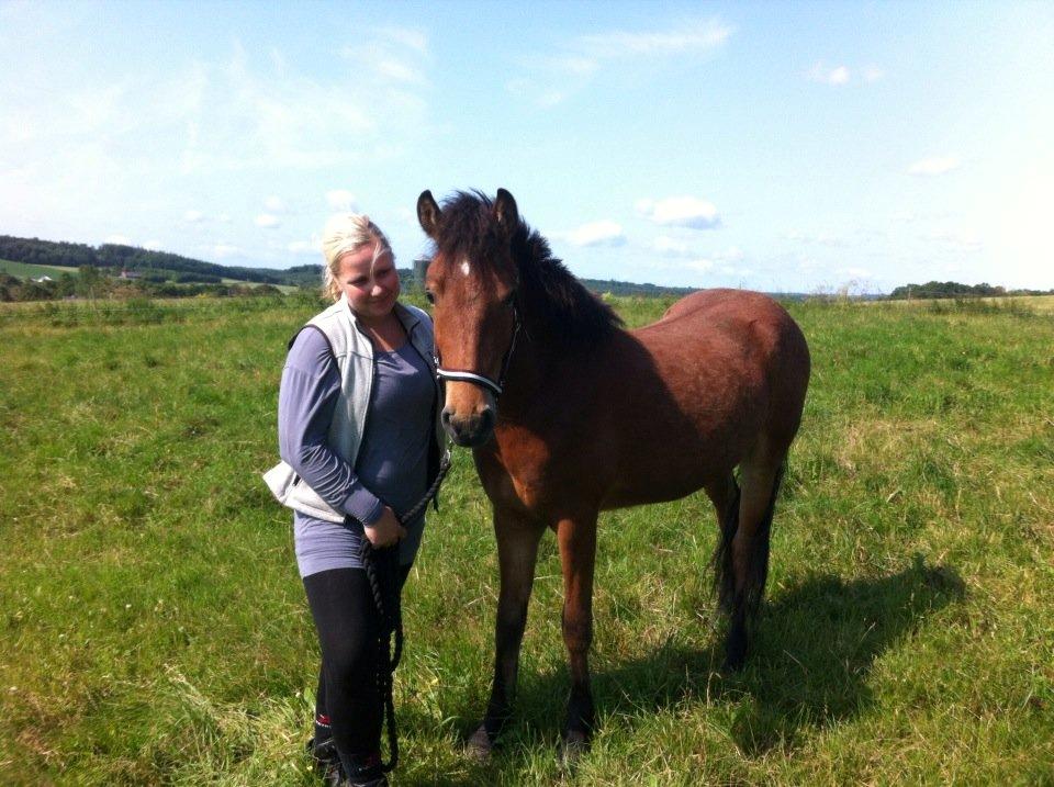 Islænder Stormur fra Birkemosegård - Stormur og jeg ;) Anden gang jeg mødte ham ;) billede 7
