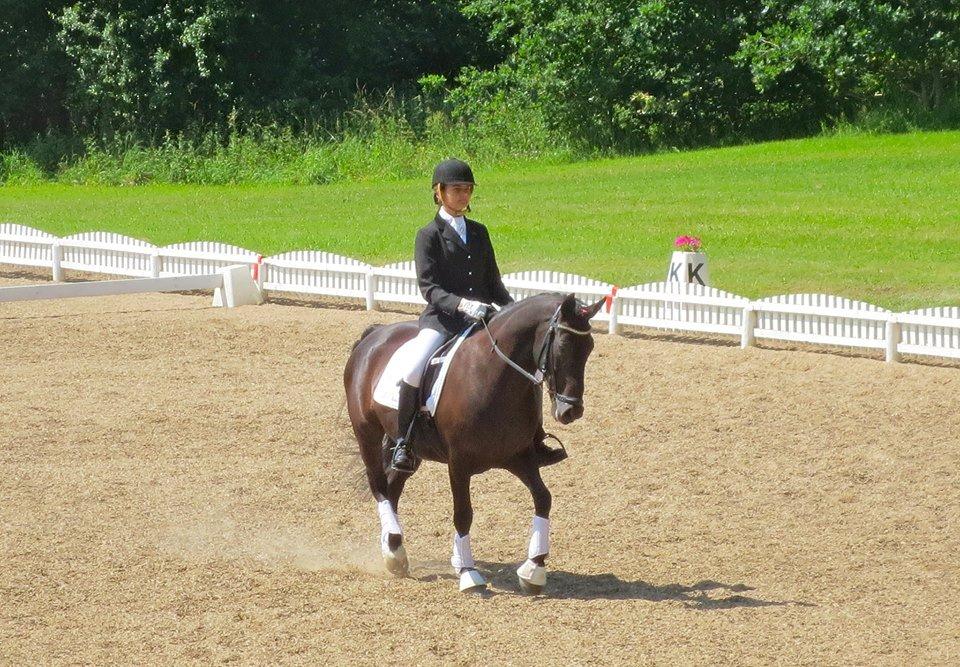 Anden særlig race Pony Gammelby <3 - D4 horseshow. :) Tror dette billed er fra LC2. :) billede 12