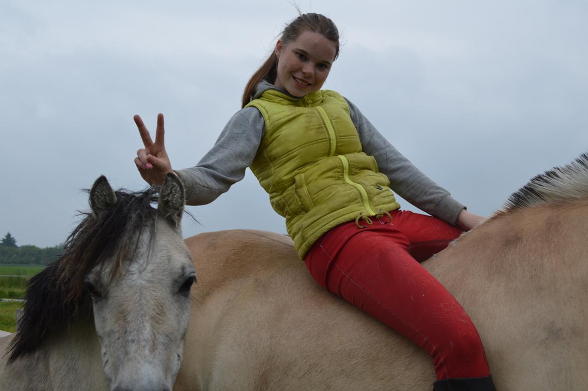 Anden særlig race Pippi ( Solgt) billede 17