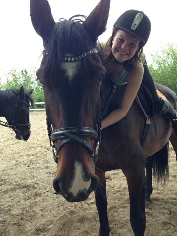 Dansk Varmblod Abelone K billede 6