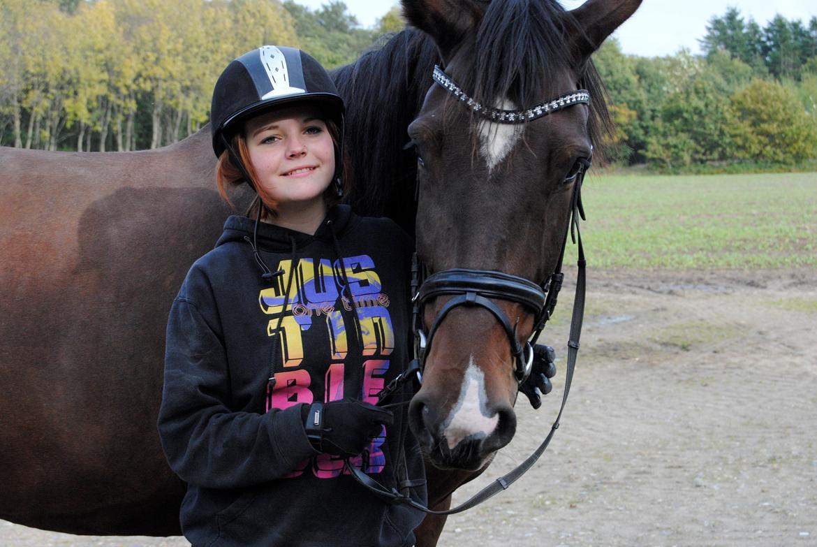 Dansk Varmblod Abelone K billede 12