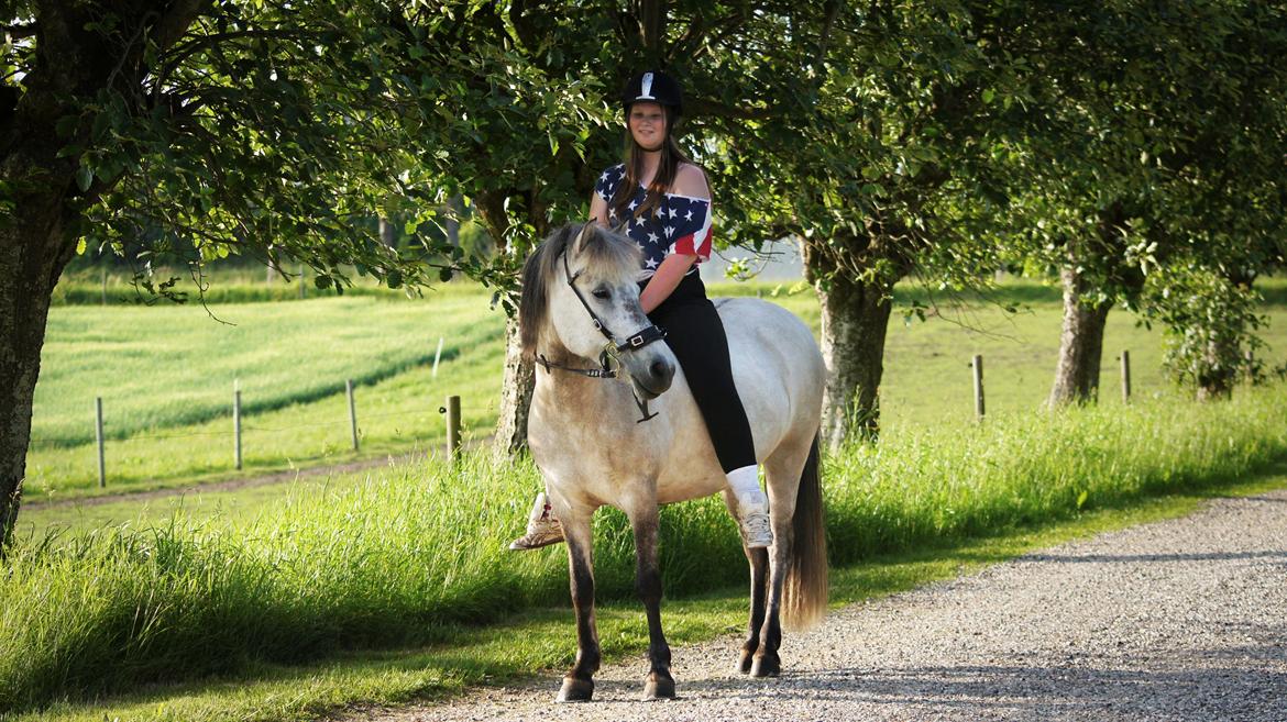 Islænder Disa fra Fruerlund - Velkommen til Disas profil, giv gerne 2013, en af de sidste uger på Aalestrup Naturefterskole:)Billede: Nanna :)
 billede 2