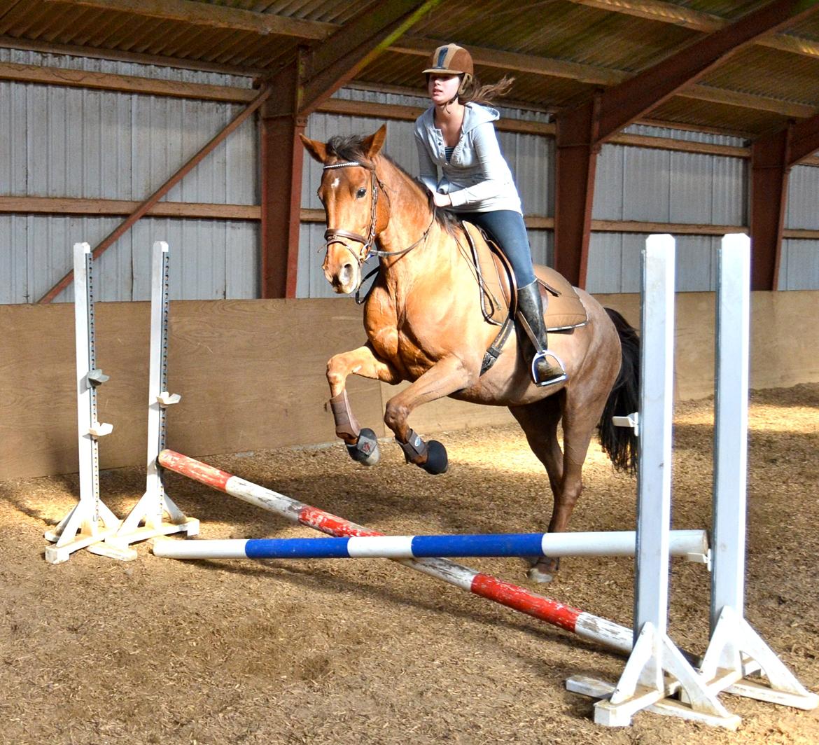 Dansk Varmblod Grøndalgaard's Mon Cherie - Aller første gang jeg springer på Cherie. billede 9