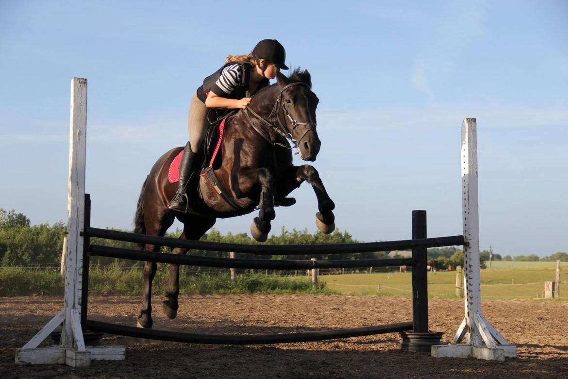 Anden særlig race Ydun billede 19