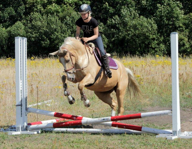 Anden særlig race Roosgårdens Chanta Lou billede 12