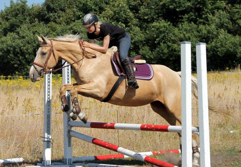 Anden særlig race Roosgårdens Chanta Lou billede 2