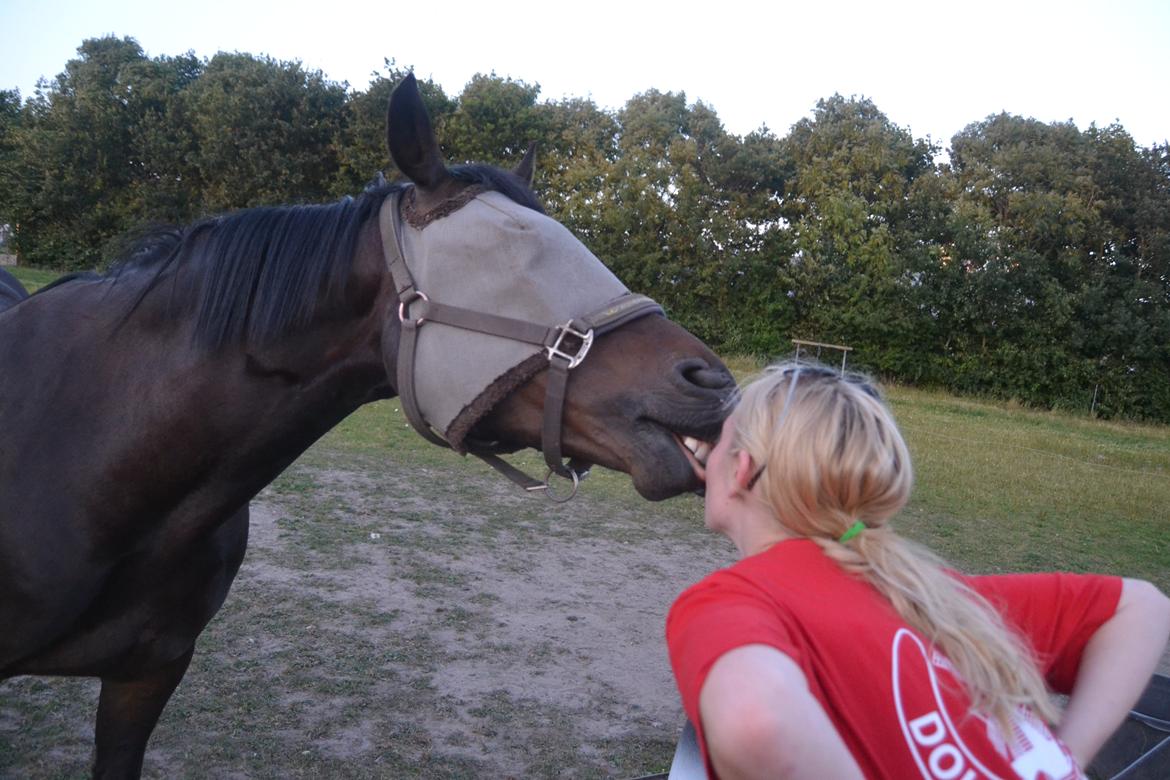 Anden særlig race Taura - Its a Taura thing billede 6