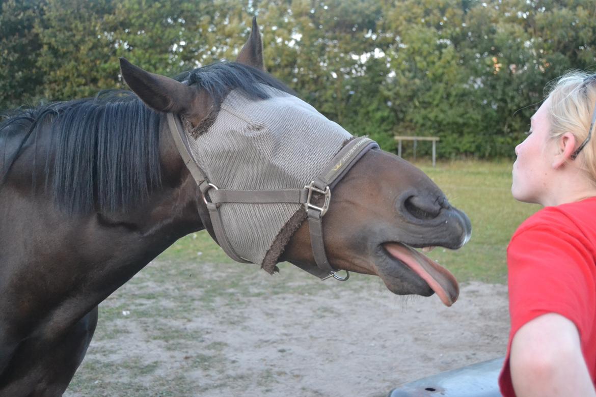 Anden særlig race Taura - Stakkels Frederikke... HAHA billede 20
