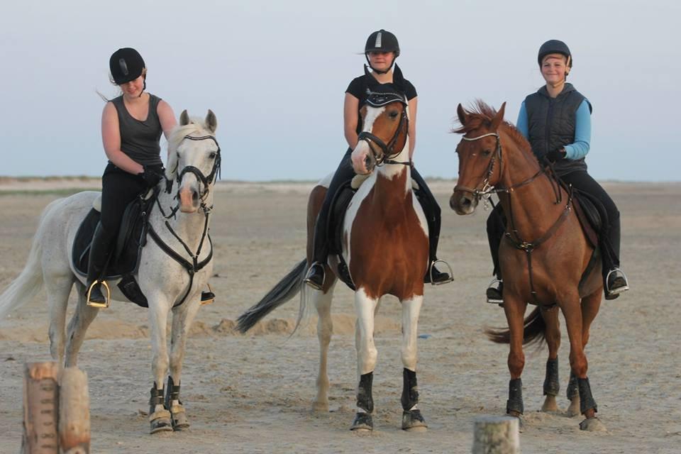 Pinto • Medina • - Stranden - 2/7-2013
Toni/Maria - Medina/Jeg - Laksen/Lea <3
MHR FOTO billede 24