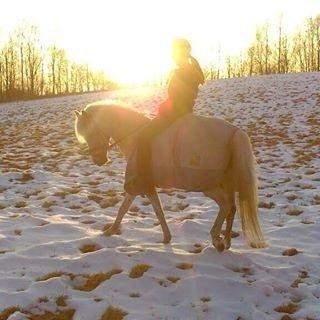 DSP Vejlebro´s Stella  - forår 2013 <3 billede 18