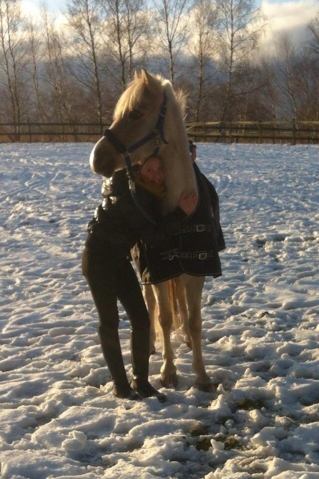 DSP Vejlebro´s Stella  billede 15