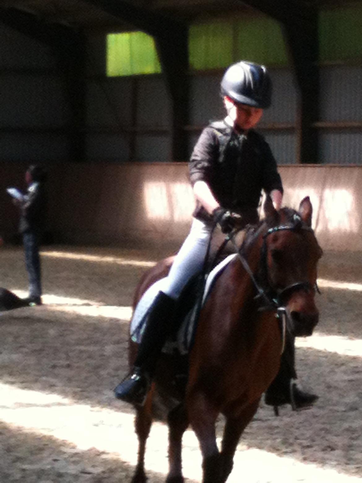 Anden særlig race Mini Max billede 4