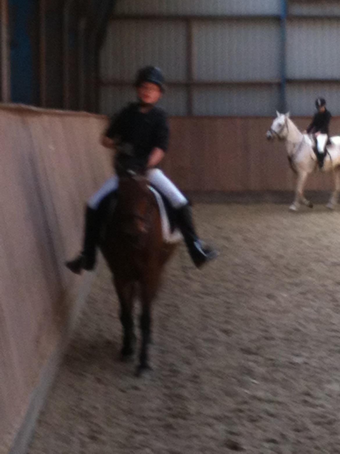 Anden særlig race Mini Max billede 6