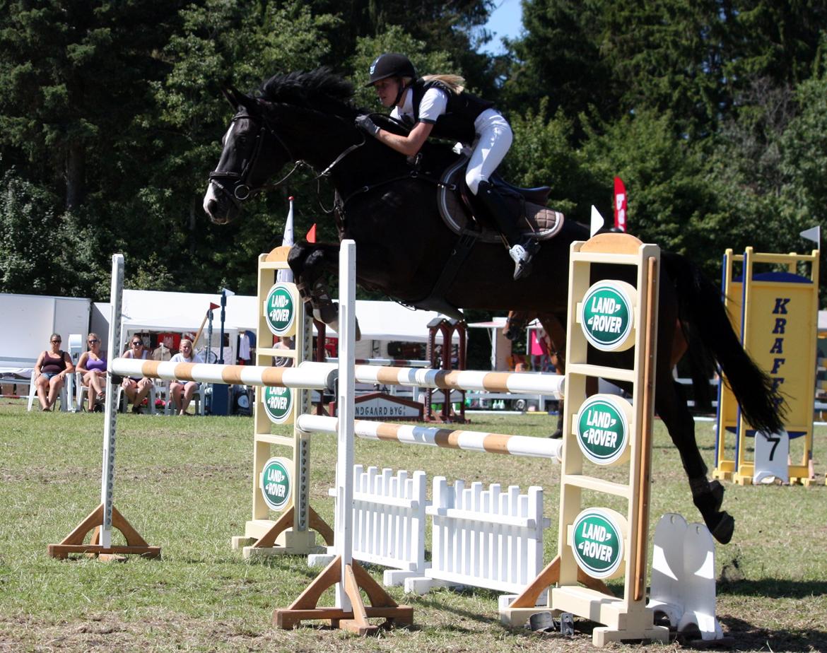 Hannoveraner Amando 29 - LA1* 115 cm til Jysk Rideuge i Silkeborg 2013 billede 20