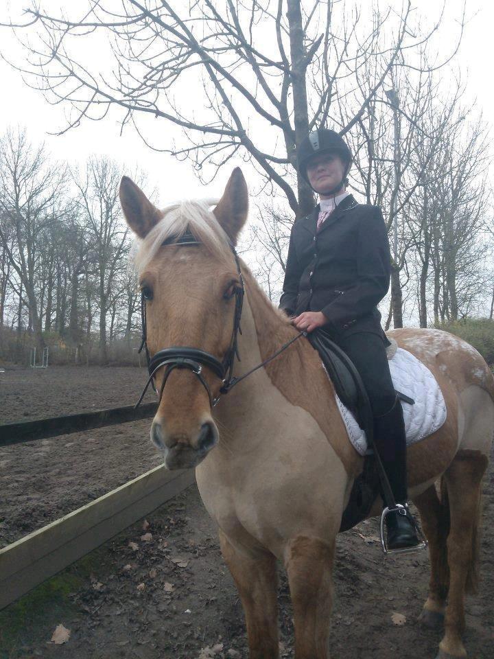 Anden særlig race Junior billede 1