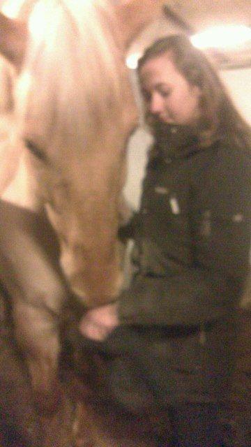 Anden særlig race Junior billede 4