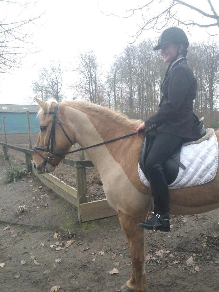 Anden særlig race Junior billede 9