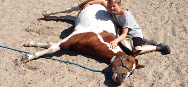 Pinto Padmé - My Soulmate - Ligge på komanda 2013 billede 7