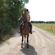 Anden særlig race Amazing Grace