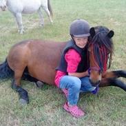 Anden særlig race Nikita