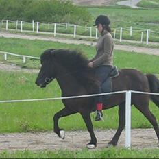 Islænder Aldis fra uldfjordsvakni