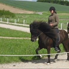 Islænder Aldis fra uldfjordsvakni