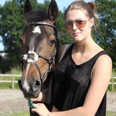 Hollandsk Sportspony Mistery Girl