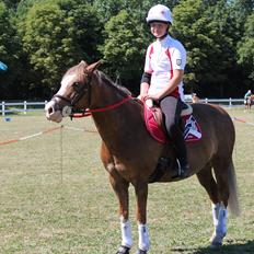 Tysk Sportspony Fee 768