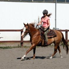 Paint Miss Dakota Salsa - Solgt