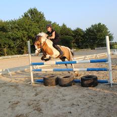 Pinto Stald poppels Hollywood Holy-man R.I.P MIN ENGEL