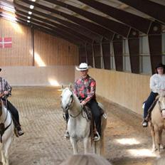 Connemara Solvang's Bastian