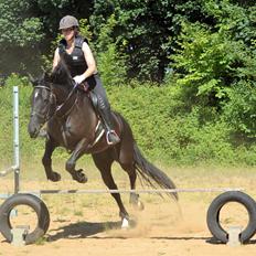 Oldenborg elmerhøjs dominiq