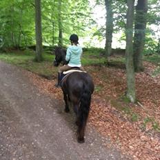 Frieser Femke Maaike