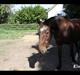 Anden særlig race Chopin (Mutters hest)