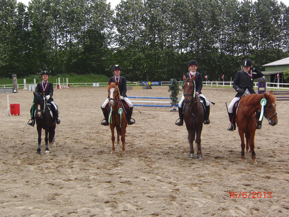 Anden særlig race Bambi - nr. 3 i distrekt 4 holdstævne:-) billede 21