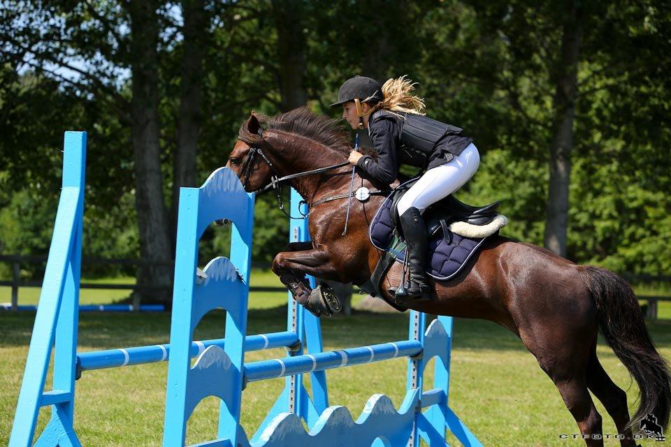 Anden særlig race Bambi billede 1