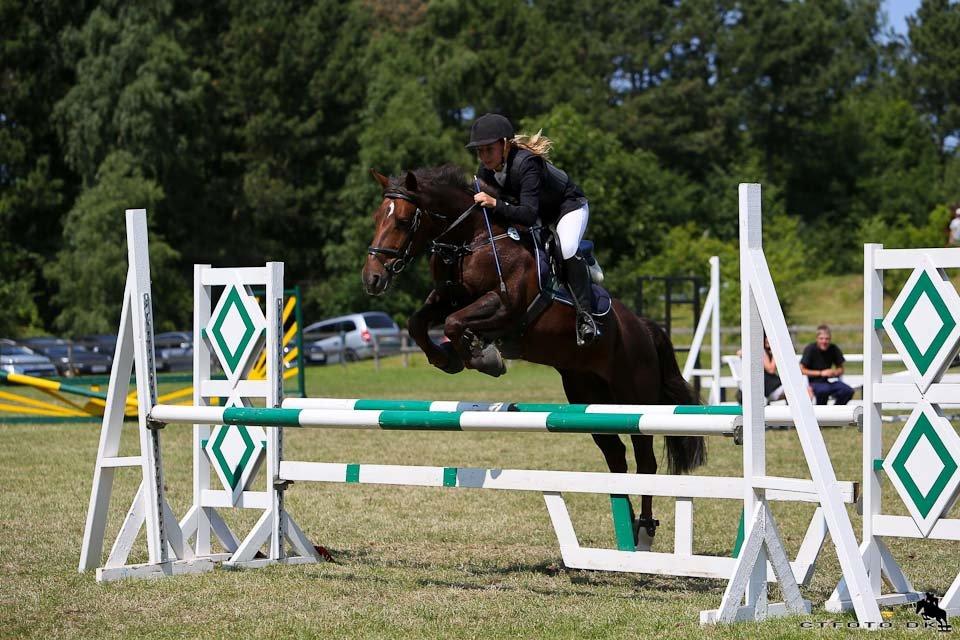 Anden særlig race Bambi billede 5