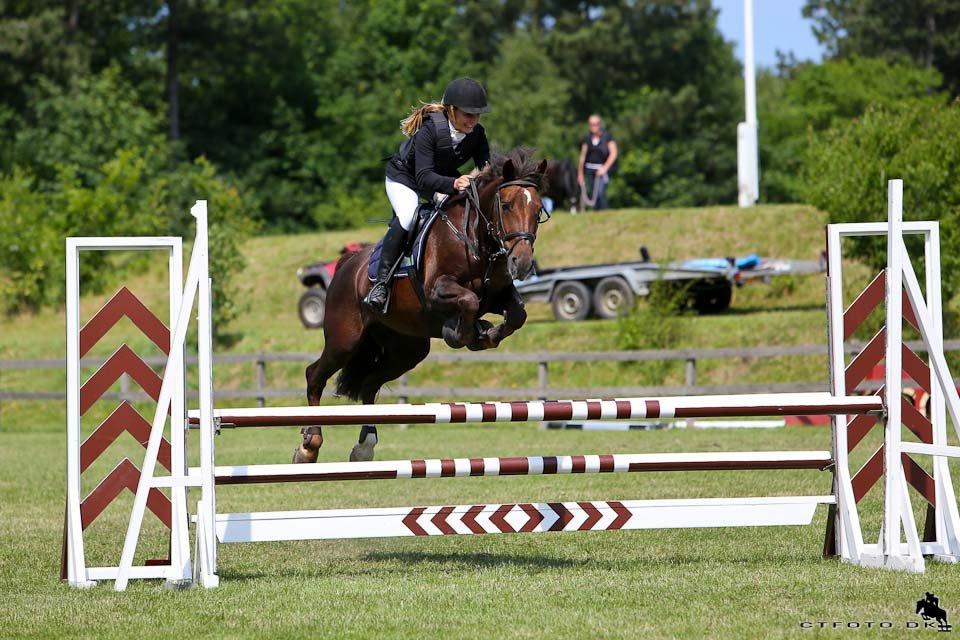 Anden særlig race Bambi billede 4
