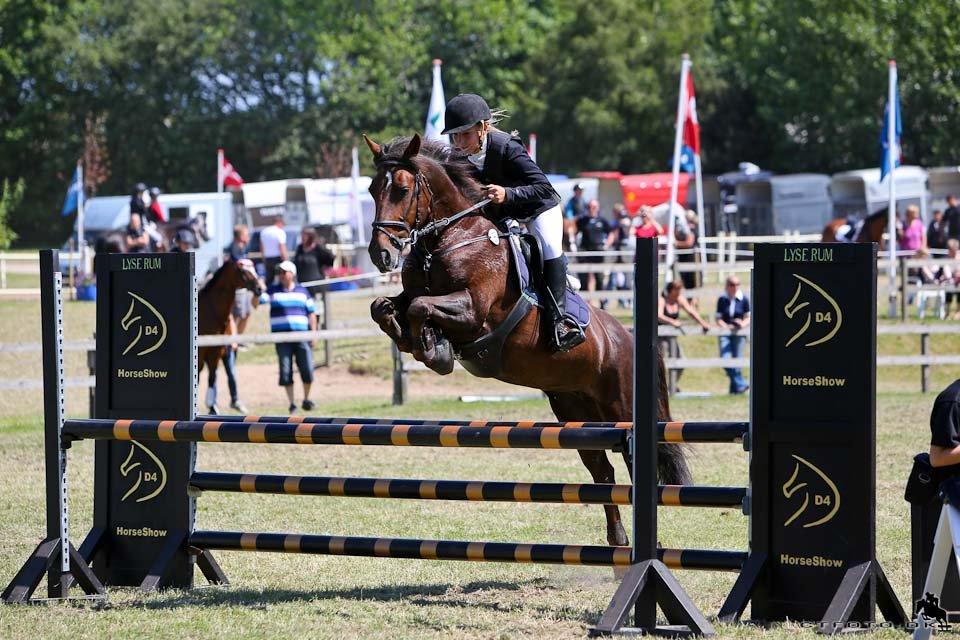 Anden særlig race Bambi billede 7