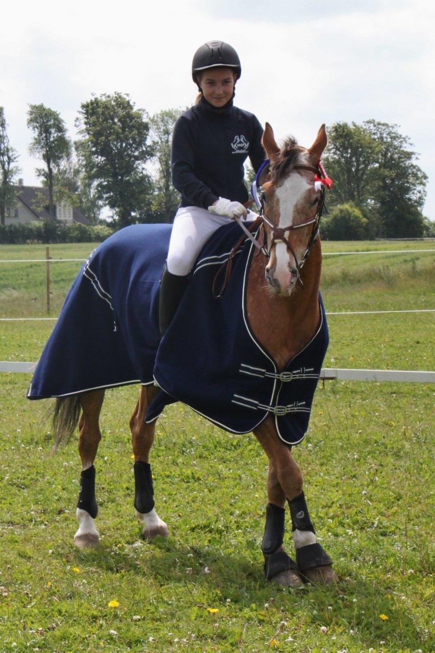 Appaloosa Rambo - Sådan gør han altid når han ikke gider at stå stille, skøre dreng, savner ham!<3 billede 3