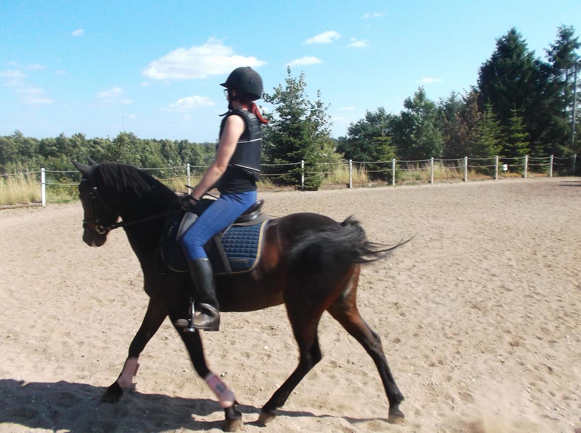 DSP Ronja - Træning på lilleskatten. :-* billede 15