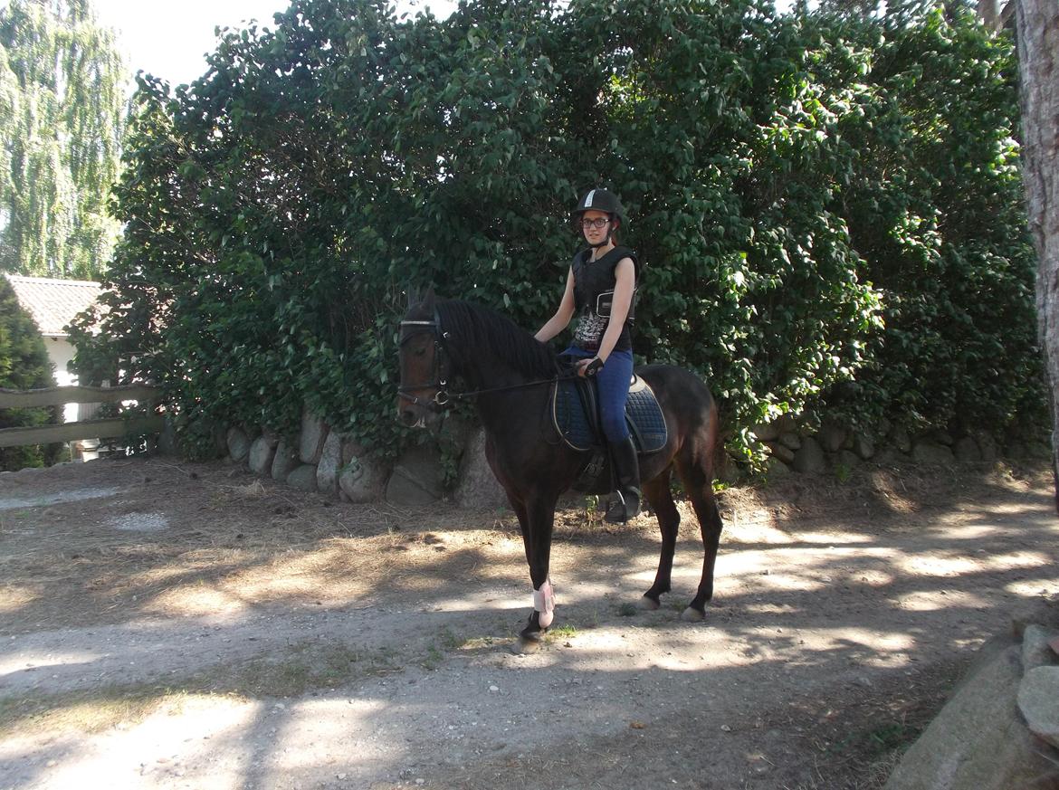 DSP Ronja - Efter dejlig træning. :) billede 13