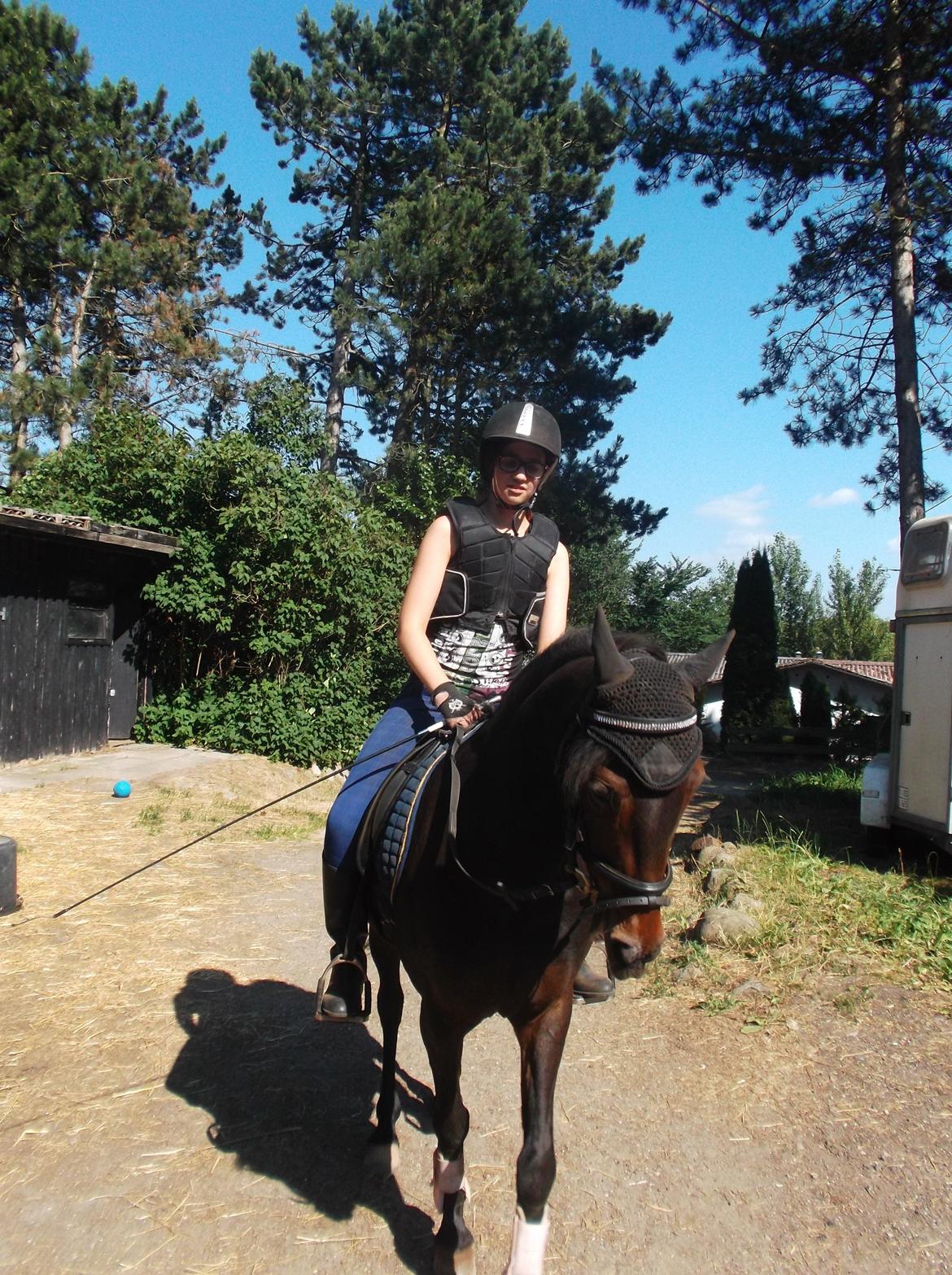 DSP Ronja - Ponyen søger støtte i tøjlen efter træning. xD billede 24