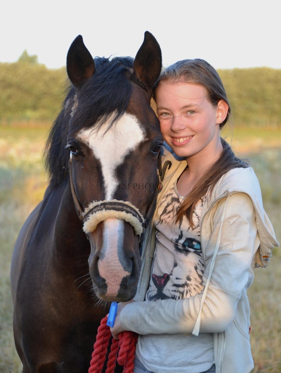 New Forest Heidi solgt :-( - Velkommen til Heidis profil :-) billede 1