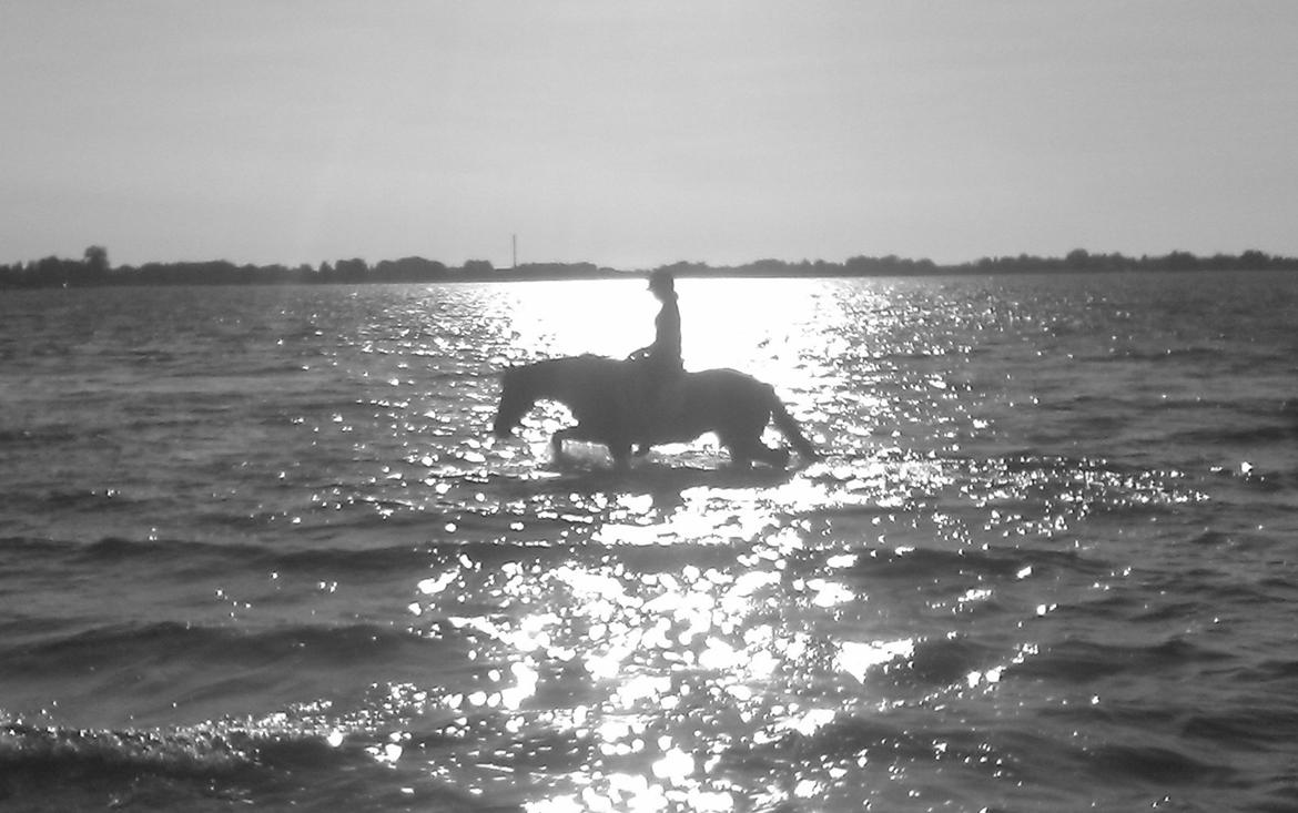 Anden særlig race Zoya - Ren hygge! billede 3