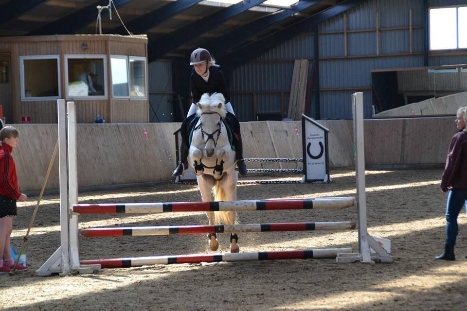 Anden særlig race Truska billede 17