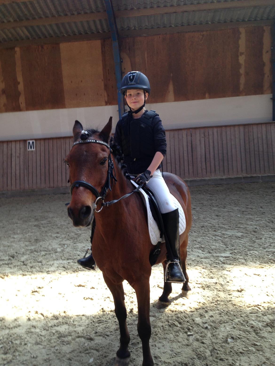 Anden særlig race Mini Max billede 12