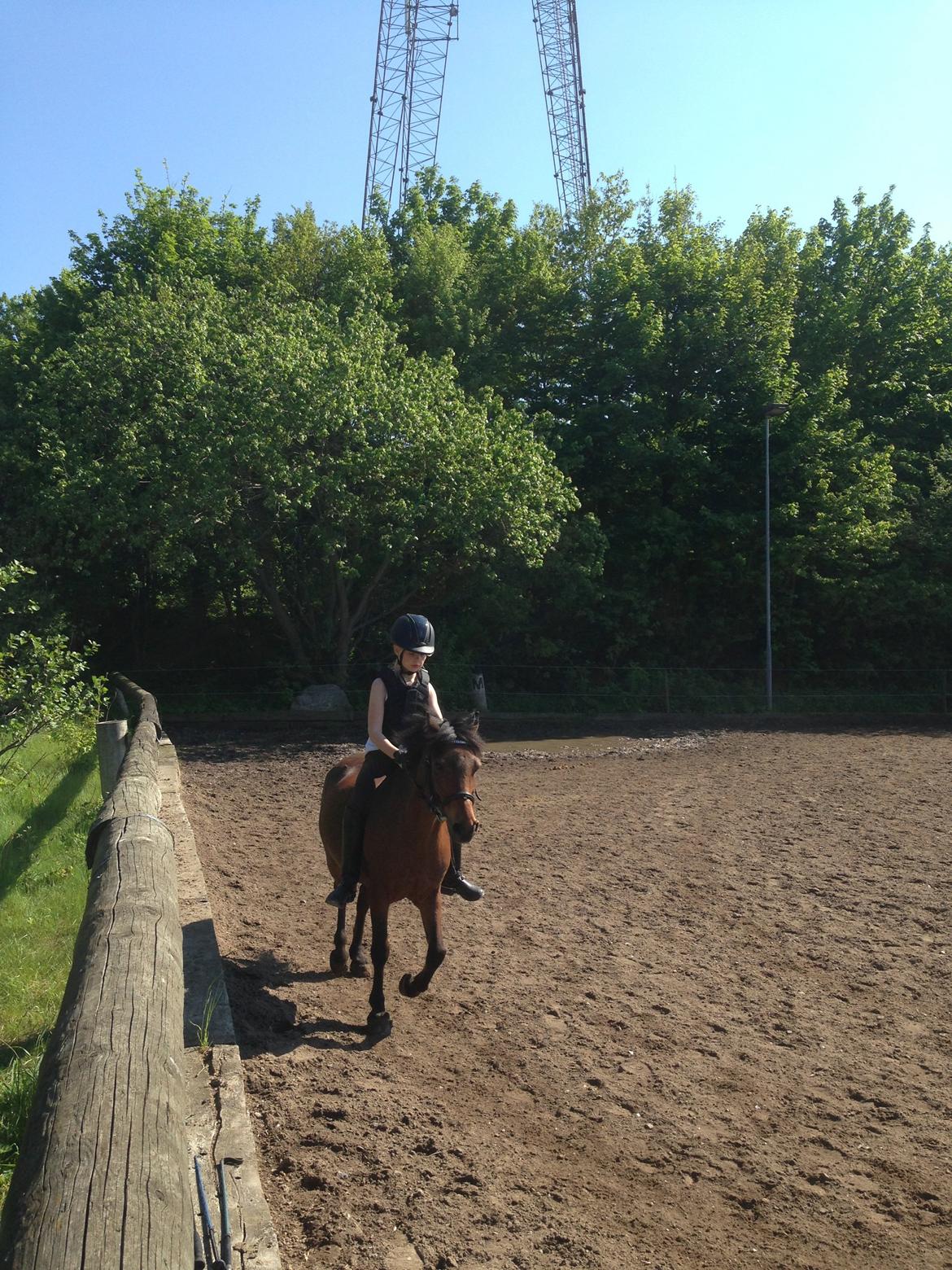 Anden særlig race Mini Max - Lidt ridning uden sadel billede 16