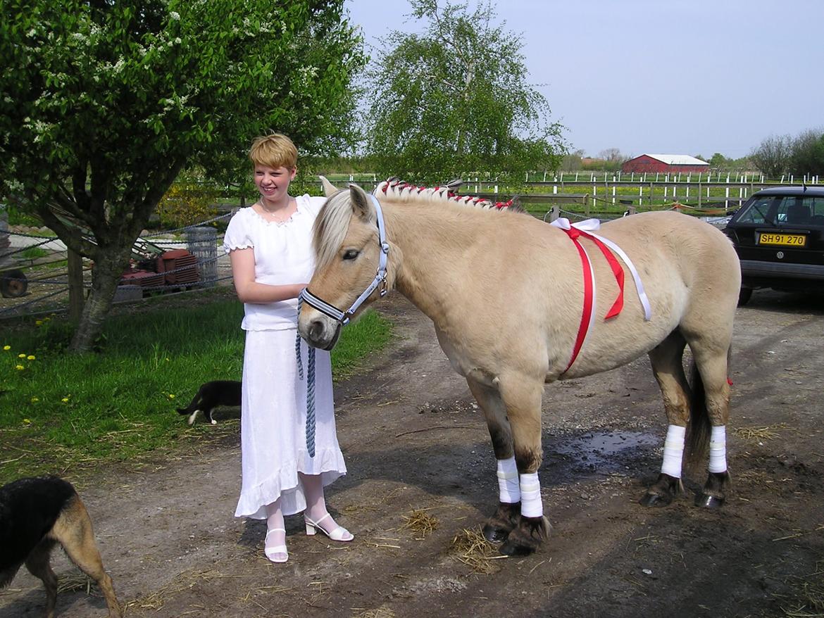 Fjordhest Luffe - 4 maj  2004
mig og luffe (luffe var en gave til mig fra min forælder)
dog fik ham 1½ før denne dag billede 21
